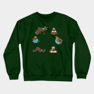 a Sloth Life Cycle Crewneck Sweatshirt